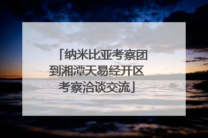 纳米比亚考察团到湘潭天易经开区考察洽谈交流