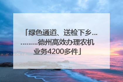 绿色通道、送检下乡…………德州高效办理农机业务4200多件