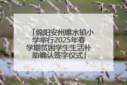 绵阳安州雎水镇小学举行2025年春学期贫困学生生活补助确认签字仪式