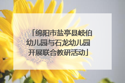 绵阳市盐亭县岐伯幼儿园与石龙幼儿园开展联合教研活动