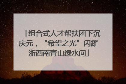 组合式人才帮扶团下沉庆元，“希望之光”闪耀浙西南青山绿水间