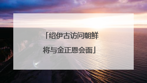 绍伊古访问朝鲜 将与金正恩会面