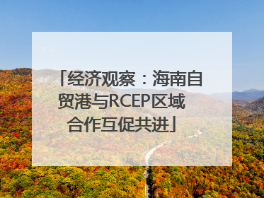 经济观察：海南自贸港与RCEP区域合作互促共进