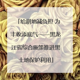 给耕地减负担 为丰收添底气——黑龙江省综合施策推进黑土地保护利用