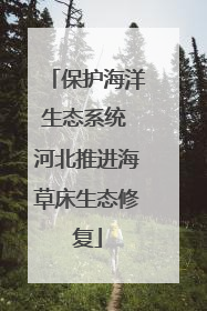 保护海洋生态系统 河北推进海草床生态修复
