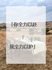 你全力以赴 我全力以护
