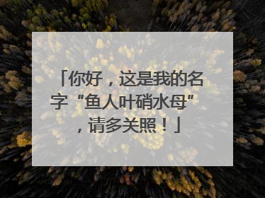 你好，这是我的名字“鱼人叶硝水母”，请多关照！
