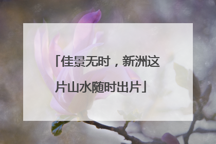 佳景无时，新洲这片山水随时出片
