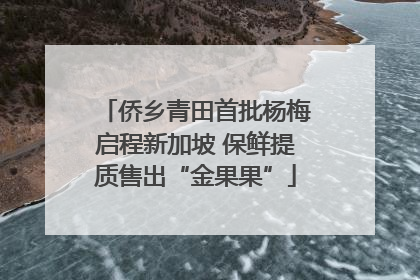 侨乡青田首批杨梅启程新加坡 保鲜提质售出“金果果”