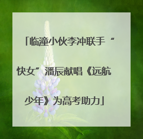 临潼小伙李冲联手“快女”潘辰献唱《远航少年》为高考助力