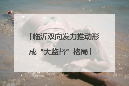 临沂双向发力推动形成“大监督”格局