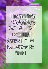 临沂市举行“防灾减灾情况”暨 “5.12全国防灾减灾日”宣传活动新闻发布会