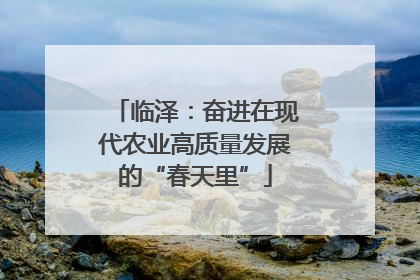 临泽：奋进在现代农业高质量发展的“春天里”