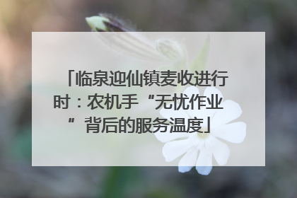 临泉迎仙镇麦收进行时：农机手“无忧作业”背后的服务温度