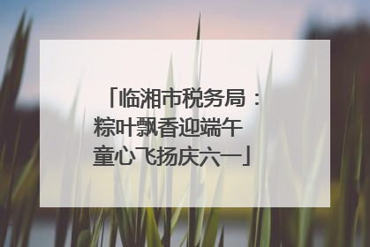 临湘市税务局：粽叶飘香迎端午 童心飞扬庆六一
