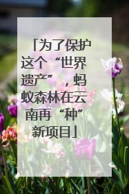 为了保护这个“世界遗产”，蚂蚁森林在云南再“种”新项目