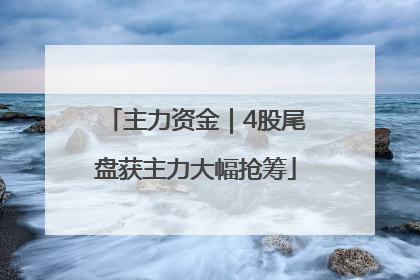 主力资金｜4股尾盘获主力大幅抢筹