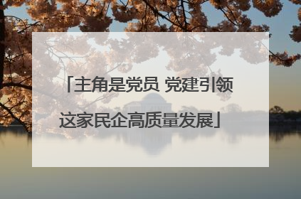 主角是党员 党建引领这家民企高质量发展