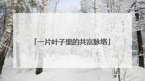 一片叶子里的共富脉络