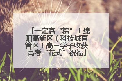 一定高“粽”！绵阳高新区（科技城直管区）高三学子收获高考“花式”祝福