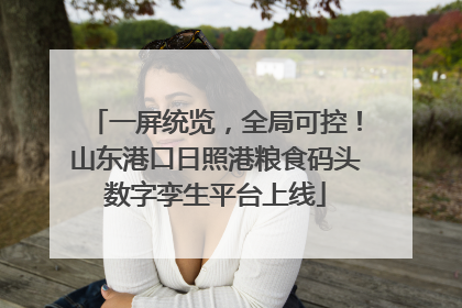 一屏统览，全局可控！山东港口日照港粮食码头数字孪生平台上线