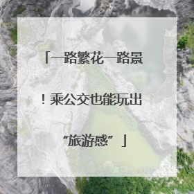 一路繁花一路景！乘公交也能玩出“旅游感”