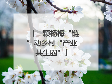 一颗杨梅“链”动乡村“产业共生圈”