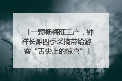 一颗杨梅旺三产，钟祥长滩四季采摘带给游客“舌尖上的惊喜”
