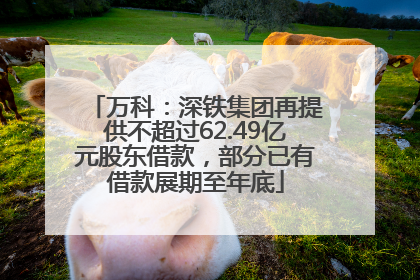 万科：深铁集团再提供不超过62.49亿元股东借款，部分已有借款展期至年底