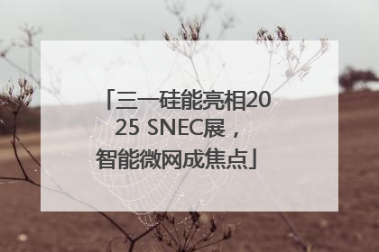 三一硅能亮相2025 SNEC展，智能微网成焦点