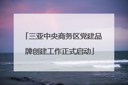 三亚中央商务区党建品牌创建工作正式启动