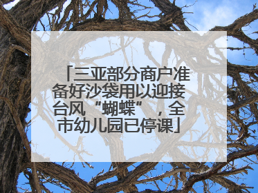 三亚部分商户准备好沙袋用以迎接台风“蝴蝶”，全市幼儿园已停课