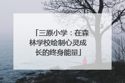 三原小学：在森林学校绘制心灵成长的终身能量