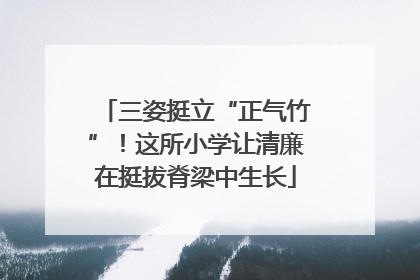 三姿挺立“正气竹”！这所小学让清廉在挺拔脊梁中生长