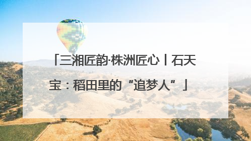 三湘匠韵·株洲匠心丨石天宝：稻田里的“追梦人”