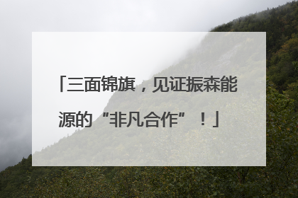 三面锦旗，见证振森能源的“非凡合作”！