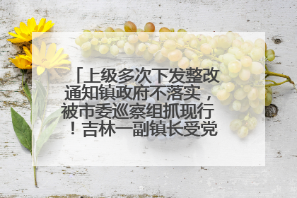 上级多次下发整改通知镇政府不落实，被市委巡察组抓现行！吉林一副镇长受党内警告处分