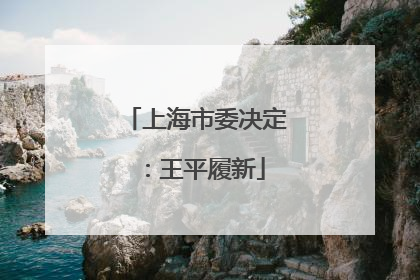 上海市委决定：王平履新