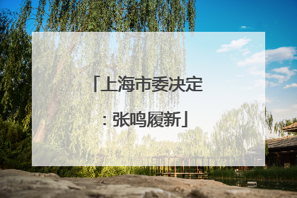 上海市委决定：张鸣履新