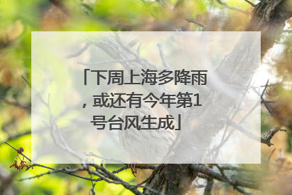 下周上海多降雨，或还有今年第1号台风生成