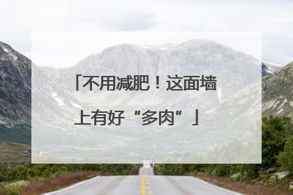 不用减肥！这面墙上有好“多肉”