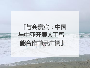 与会嘉宾：中国与中亚开展人工智能合作前景广阔