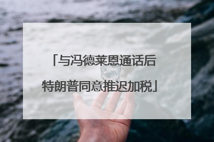与冯德莱恩通话后 特朗普同意推迟加税