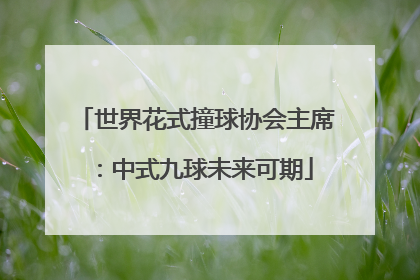 世界花式撞球协会主席：中式九球未来可期