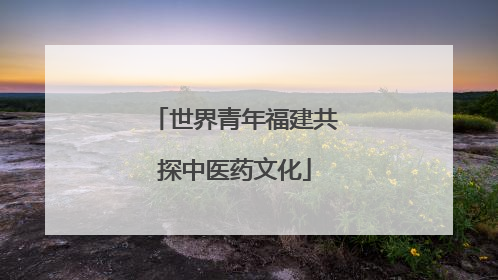 世界青年福建共探中医药文化