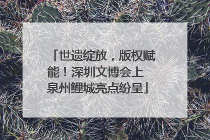 世遗绽放，版权赋能！深圳文博会上 泉州鲤城亮点纷呈