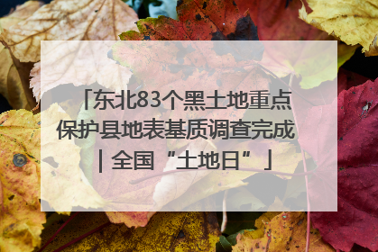 东北83个黑土地重点保护县地表基质调查完成｜全国“土地日”