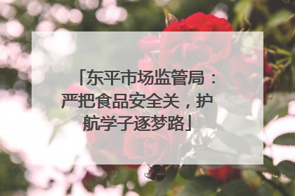 东平市场监管局：严把食品安全关，护航学子逐梦路