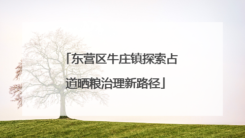 东营区牛庄镇探索占道晒粮治理新路径