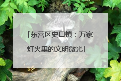 东营区史口镇：万家灯火里的文明微光